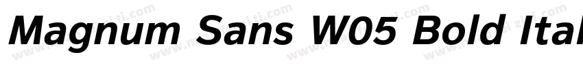Magnum Sans W05 Bold Italic字体转换